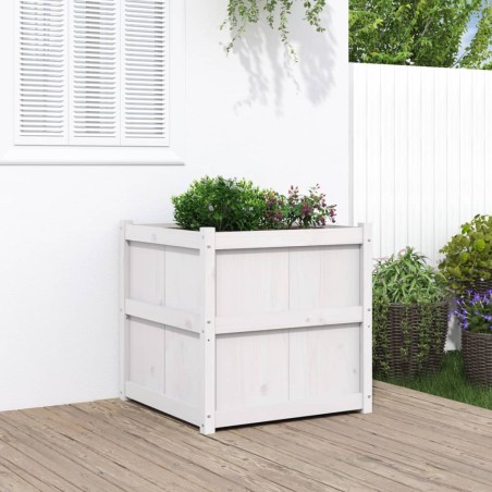 vidaXL Jardinera de madera maciza de pino blanca 70x70x70 cm