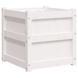 vidaXL Jardineras 2 uds madera maciza de pino blanco 50x50x50 cm