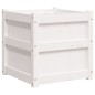 vidaXL Jardineras 2 uds madera maciza de pino blanco 50x50x50 cm vidaXL Jardineras 2 uds madera maciza de pino blanco 50x50x50 cm