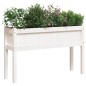 vidaXL Jardinera con patas madera maciza de pino blanco 110x31x70 cm vidaXL Jardinera con patas madera maciza de pino blanco 110x31x70 cm