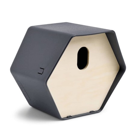 Capi Casita pájaros Hive 2 agujero ovalado gris antracita 19x23x20 cm