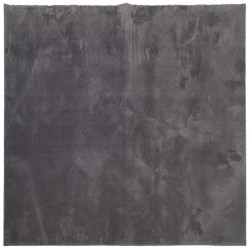 vidaXL Alfombra de pelo corto suave lavable HUARTE antracita 160x160cm