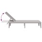 vidaXL Tumbona de PP gris 186x60x29 cm vidaXL Tumbona de PP gris 186x60x29 cm