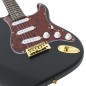 vidaXL Guitarra eléctrica principiantes con funda negro dorado 4/4 39" vidaXL Guitarra eléctrica principiantes con funda negro dorado 4/4 39"