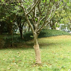 vidaXL Rollo de yute 0,5x5 m 100% yute 200 gsm