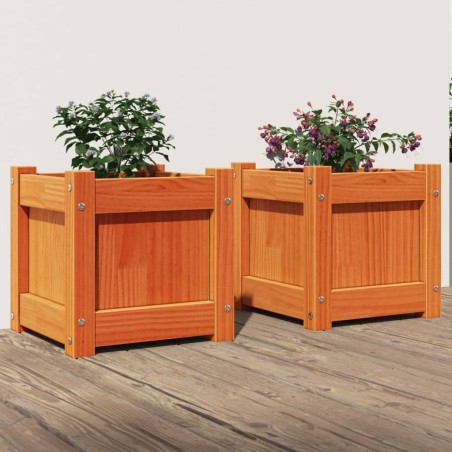 vidaXL Jardineras de exterior 2 uds madera maciza de pino marrón cera