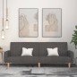 vidaXL Sofá cama de 2 plazas tela gris oscuro vidaXL Sofá cama de 2 plazas tela gris oscuro