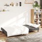 vidaXL Sofá cama de 2 plazas terciopelo gris oscuro vidaXL Sofá cama de 2 plazas terciopelo gris oscuro