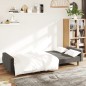 vidaXL Sofá cama de 2 plazas terciopelo gris oscuro vidaXL Sofá cama de 2 plazas terciopelo gris oscuro