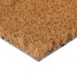 vidaXL Felpudo de fibra de coco copetuda 40x60 cm vidaXL Felpudo de fibra de coco copetuda 40x60 cm