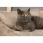 Scruffs & Tramps Cama para perros Kensington crema L 90x70 cm Scruffs & Tramps Cama para perros Kensington crema L 90x70 cm