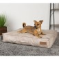Scruffs & Tramps Colchón para perros Kensington crema M 80x60 cm Scruffs & Tramps Colchón para perros Kensington crema M 80x60 cm