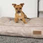 Scruffs & Tramps Colchón para perros Kensington crema M 80x60 cm Scruffs & Tramps Colchón para perros Kensington crema M 80x60 cm