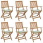 vidaXL Sillas de jardín plegables 6 uds y cojines madera maciza acacia vidaXL Sillas de jardín plegables 6 uds y cojines madera maciza acacia