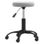 vidaXL Silla de oficina giratoria de terciopelo gris claro vidaXL Silla de oficina giratoria de terciopelo gris claro