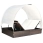 vidaXL Tumbona doble con toldo ratán sintético marrón vidaXL Tumbona doble con toldo ratán sintético marrón