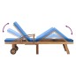 vidaXL Tumbona con cojín madera maciza de teca azul vidaXL Tumbona con cojín madera maciza de teca azul