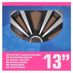 ProPlus Juego de tapacubos 4 unidades Terra plateado y negro 13"