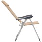 vidaXL Sillas de camping de aluminio 2 unidades crema 58x69x111 cm vidaXL Sillas de camping de aluminio 2 unidades crema 58x69x111 cm