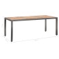 vidaXL Set de comedor de jardín 9 pzas y cojines ratán sintético gris