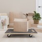 vidaXL Soportes con ruedas 2 uds rectangular 80x55x11,5 cm vidaXL Soportes con ruedas 2 uds rectangular 80x55x11,5 cm
