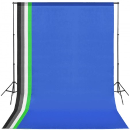 vidaXL Kit de estudio fotográfico con softbox y fondo