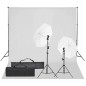 vidaXL Kit de estudio fotográfico con set de luces y fondo vidaXL Kit de estudio fotográfico con set de luces y fondo