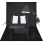 vidaXL Kit de estudio fotográfico con set de luces y fondo vidaXL Kit de estudio fotográfico con set de luces y fondo