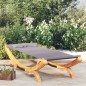 vidaXL Tumbona con dosel madera curvada gris antracita 100x188,5x44 cm vidaXL Tumbona con dosel madera curvada gris antracita 100x188,5x44 cm