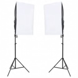 vidaXL Kit de estudio fotográfico con set de luces y fondo