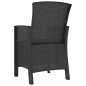 vidaXL Sillones de jardín 2 uds con cojines ratán PP color grafito vidaXL Sillones de jardín 2 uds con cojines ratán PP color grafito