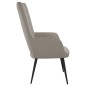 vidaXL Silla de relajación de terciopelo gris claro vidaXL Silla de relajación de terciopelo gris claro