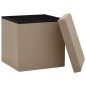 vidaXL Taburetes de almacenaje plegables 2 uds capuchino PVC vidaXL Taburetes de almacenaje plegables 2 uds capuchino PVC