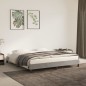 vidaXL Estructura de cama de terciopelo gris claro 160x200 cm vidaXL Estructura de cama de terciopelo gris claro 160x200 cm