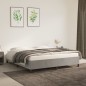 vidaXL Estructura de cama de terciopelo gris claro 160x200 cm vidaXL Estructura de cama de terciopelo gris claro 160x200 cm