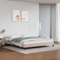 vidaXL Estructura de cama cabecero cuero sintético capuchino 160x200cm vidaXL Estructura de cama cabecero cuero sintético capuchino 160x200cm