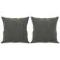 vidaXL Cojines decorativos 2 uds terciopelo gris oscuro 40x40 cm vidaXL Cojines decorativos 2 uds terciopelo gris oscuro 40x40 cm
