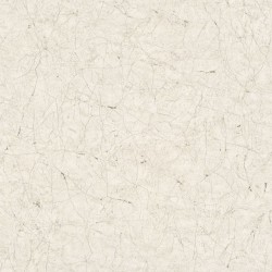 Noordwand Papel de pared Vintage Deluxe Stucco Crackle gris y blanco