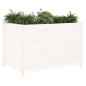 vidaXL Arriate elevado de jardín madera de pino blanco 119,5x82,5x78cm vidaXL Arriate elevado de jardín madera de pino blanco 119,5x82,5x78cm