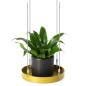 Esschert Design Bandeja colgante para plantas redonda dorada S Esschert Design Bandeja colgante para plantas redonda dorada S