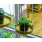 Esschert Design Bandeja colgante para plantas redonda dorada S Esschert Design Bandeja colgante para plantas redonda dorada S