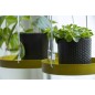 Esschert Design Bandeja colgante para plantas redonda dorada S Esschert Design Bandeja colgante para plantas redonda dorada S