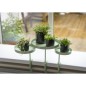 Esschert Design Bandeja para plantas con abrazadera redonda verde M Esschert Design Bandeja para plantas con abrazadera redonda verde M