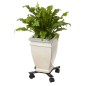 Nature Carrito para plantas ajustable 4 brazos netal negro Nature Carrito para plantas ajustable 4 brazos netal negro