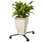 Nature Carrito para plantas ajustable 4 brazos netal negro Nature Carrito para plantas ajustable 4 brazos netal negro