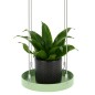 Esschert Design Bandeja colgante para macetas redonda verde S Esschert Design Bandeja colgante para macetas redonda verde S