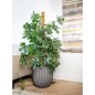 Capi Macetero Groove gris antracita 35x34 cm Capi Macetero Groove gris antracita 35x34 cm