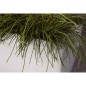 Capi Jardinera rectangular Arc Granite marfil 60x35x40 cm Capi Jardinera rectangular Arc Granite marfil 60x35x40 cm