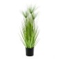 Emerald Cyperus artificial Haspan en maceta 75 cm Emerald Cyperus artificial Haspan en maceta 75 cm