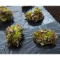 Nature Lona de suelo negra 3x4 m 100µ Nature Lona de suelo negra 3x4 m 100µ